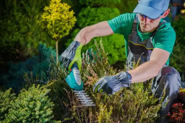 landscaping services East Patchogue
